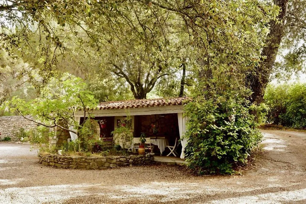 Villa Le Niaouli Lorgues Holiday home