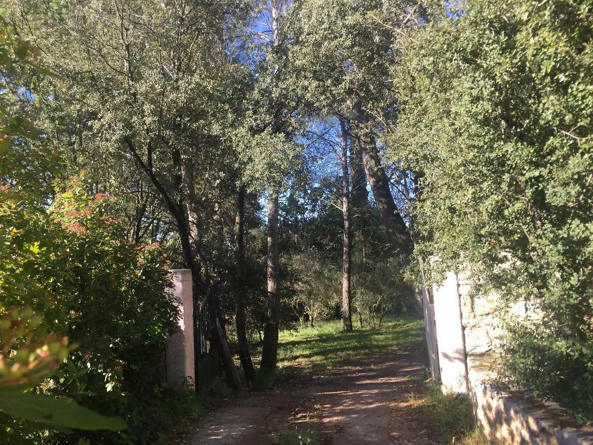 Villa Le Niaouli Lorgues France