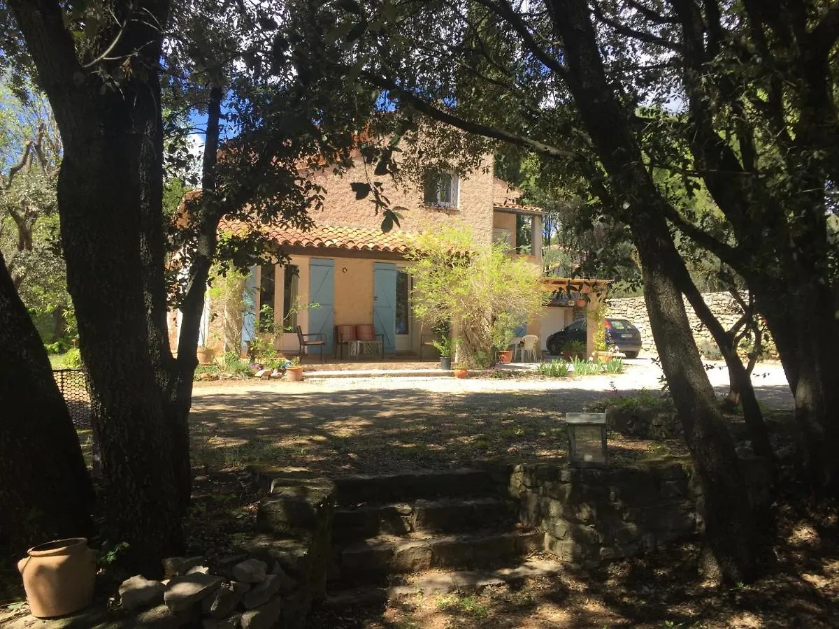 Villa Le Niaouli Lorgues Holiday home